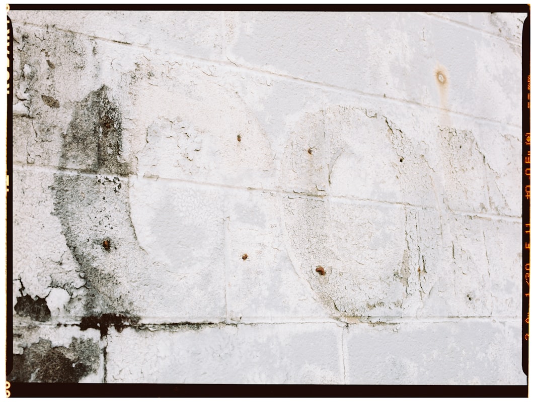 Water Extraction service in Fullerton, CA